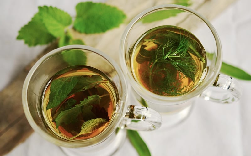 Peppermint Plant